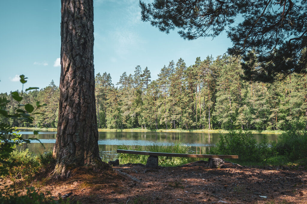 Bänk som står vid benktagölen med blå himmel och tallar i bakgunden