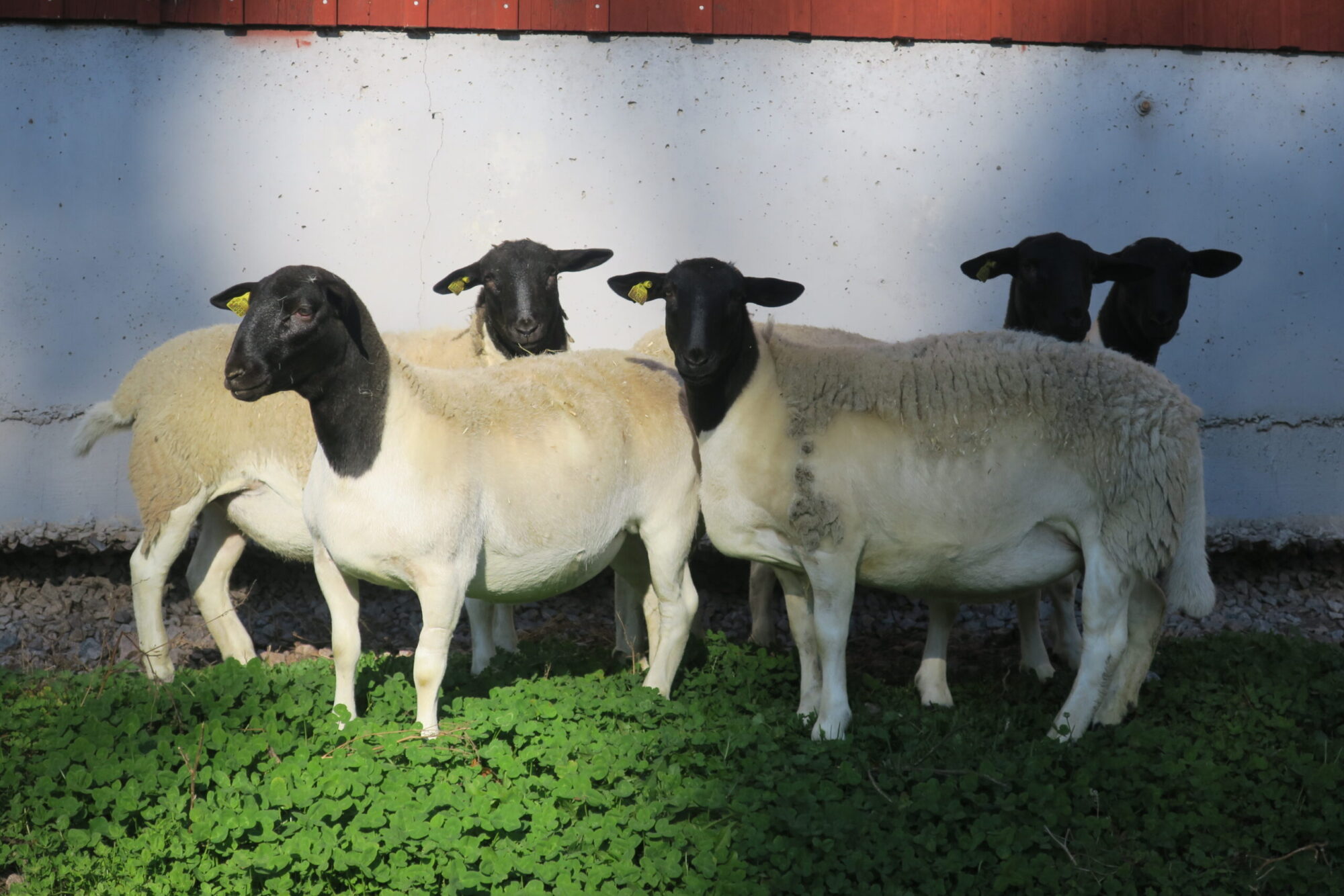 Kulla Gård | Visit Småland