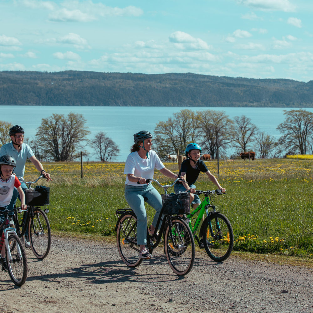 Familj cyklar på Visingsö, ön i Vättern, de har hjälmar på sig