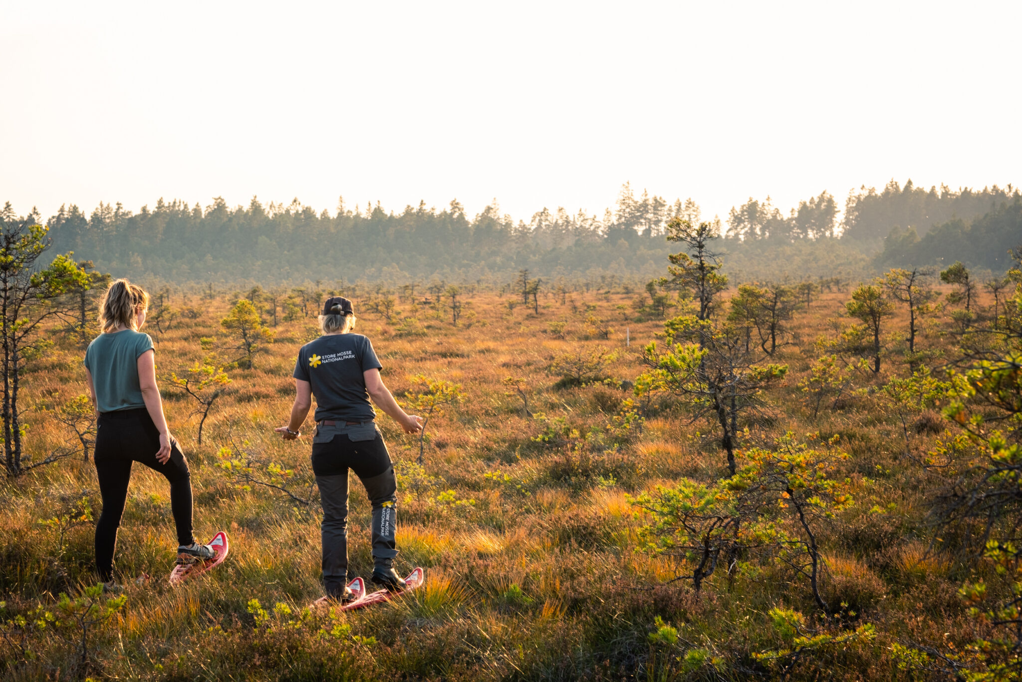 Nationalparken Store Mosse | Visit Småland