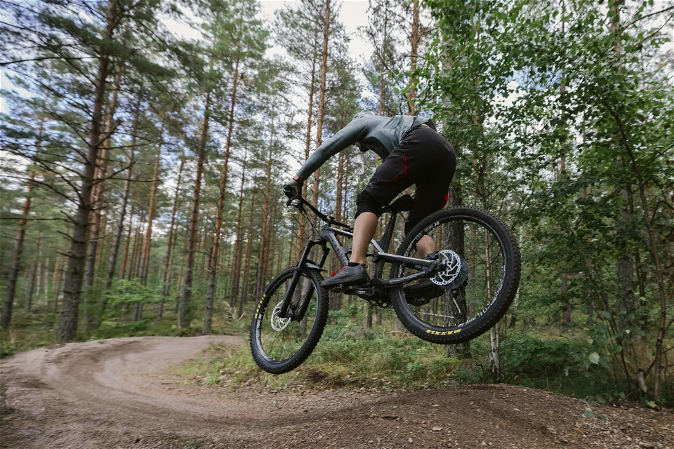cykel mtb i skogen