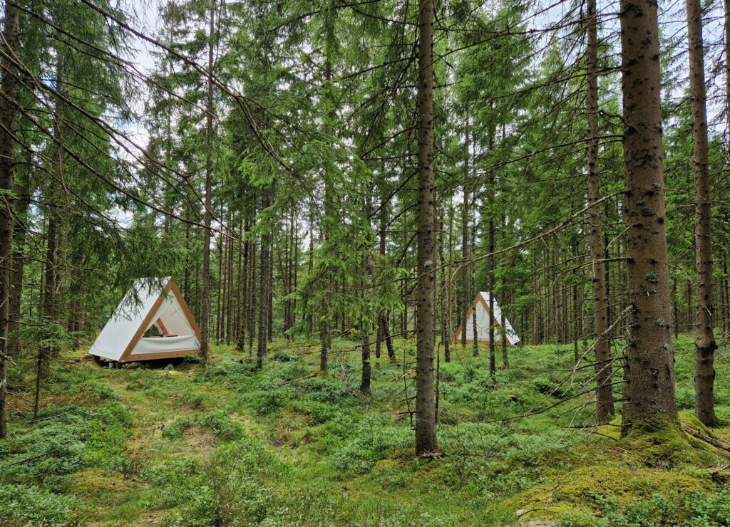 Glampingtält i skogen