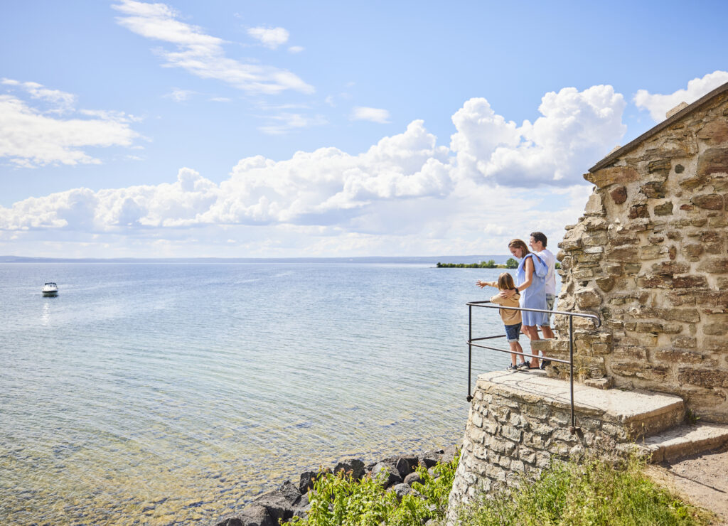 Visingsborgs och Näs slottsruin