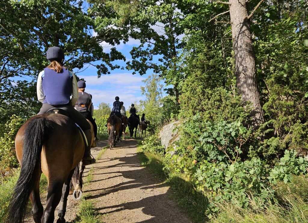Ölandsbergs horses & tourism